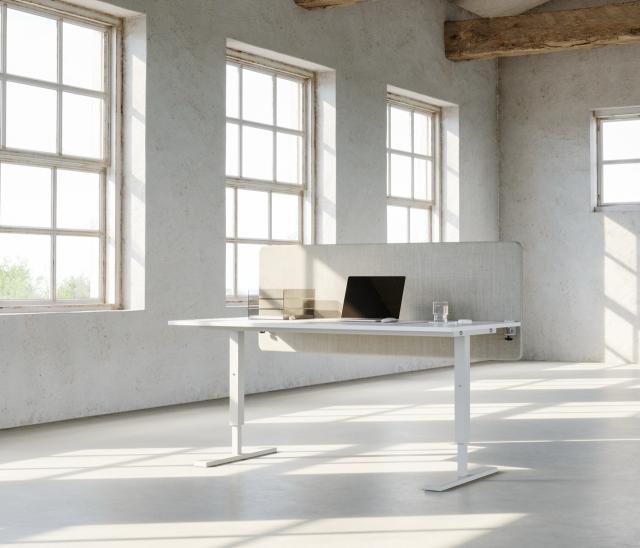 Xrozz Absorption Savio