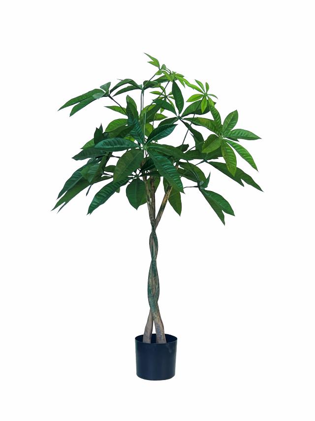 STRANDKASTANJE 56 cm