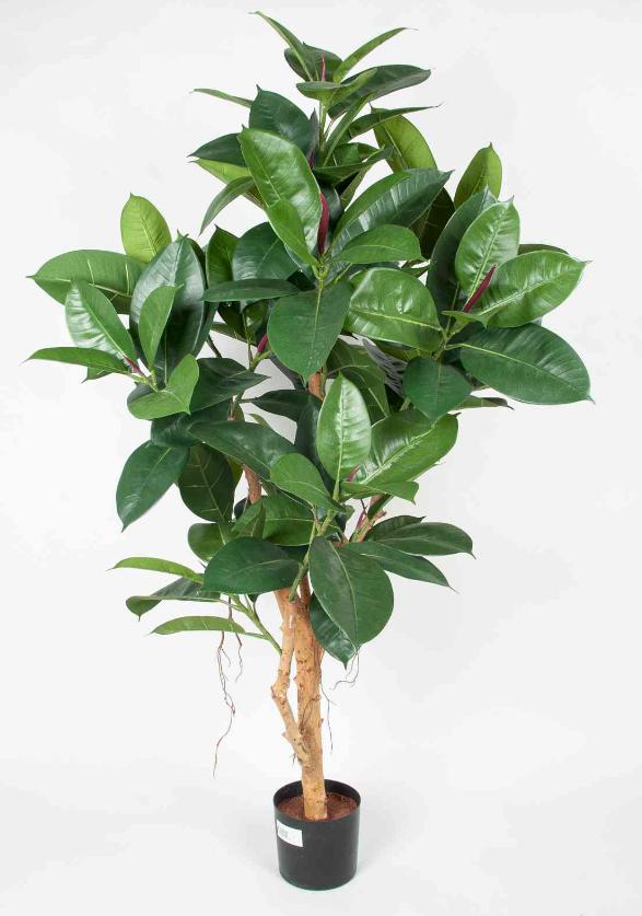 RUBBER LEAF 120 cm