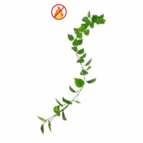 GULLRANKE 190 cm 12-pakning