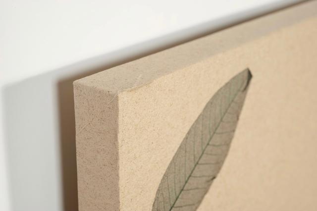 Rockfon SENSES Leaves 1160x1160x40
