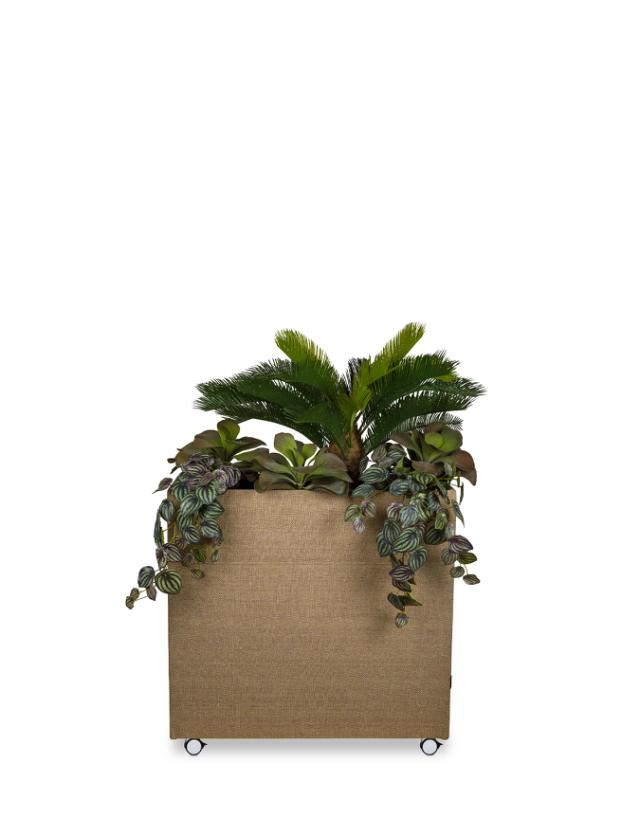Plant Divider