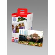 DESPECT_4960999616889_0