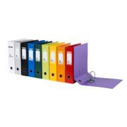 DESPECT_4002030163874_1