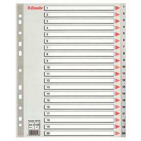 Esselte Register PP A4 Maxi 1-20 grå