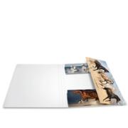 DESPECT_4008705192095_1