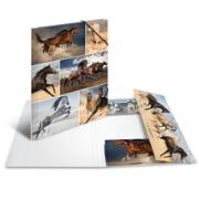 DESPECT_4008705192095_2