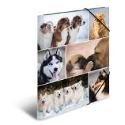 DESPECT_4008705192118_0