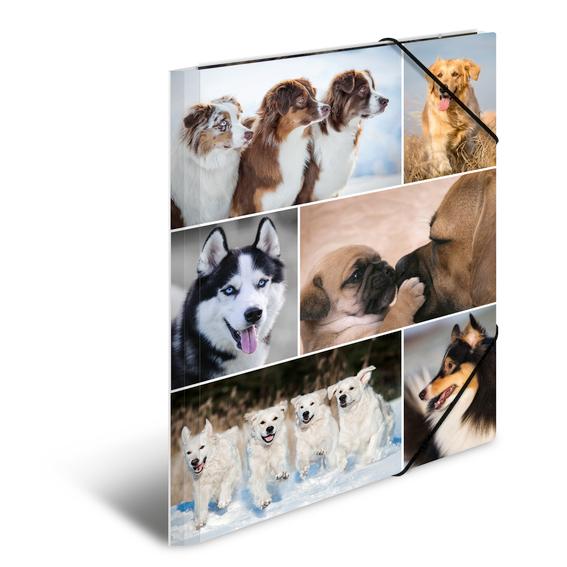 Herma Strikkmappe A4  PP-papp. Hunder