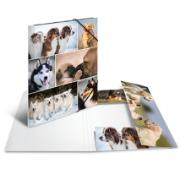 DESPECT_4008705192118_1