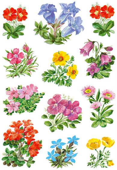 Herma Klistremerker Decor Fjellblomster