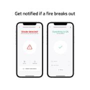 DESPECT_8719323919297_4