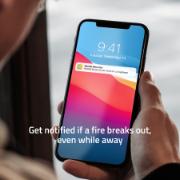 DESPECT_8719323919297_11