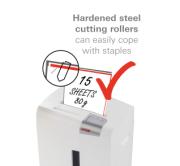 DESPECT_4026631057752_6