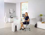 DESPECT_4026631047845_11