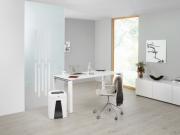 DESPECT_4026631035590_9