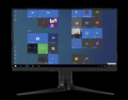 DESPECT_4049793069050_1