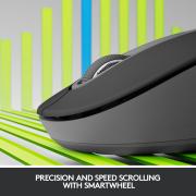 DESPECT_5099206097179_1