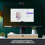 DESPECT_5099206097230_4