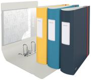 DESPECT_4002432125142_7