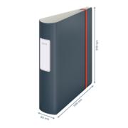 DESPECT_4002432125166_2