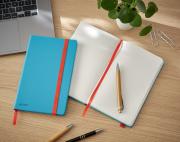 DESPECT_4002432125883_1