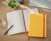 DESPECT_4002432125968_1