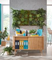 DESPECT_4002432125999_6