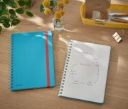 DESPECT_4002432126002_1