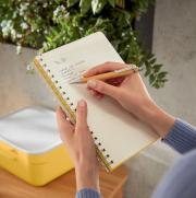 DESPECT_4002432126026_2