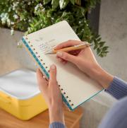 DESPECT_4002432126033_2