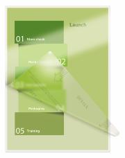 DESPECT_4002432397693_3