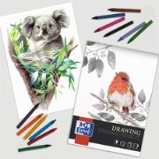 DESPECT_5904017077749_2