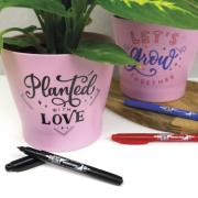 DESPECT_4003198111226_2