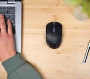 DESPECT_8713439248197_6