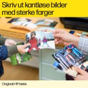 DETAIL244894