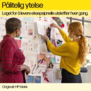 DETAIL244893