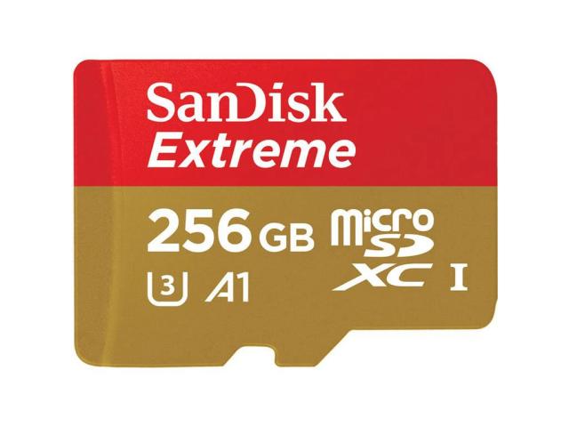 REALWEAR Micro SD Card 256GB SanDisk