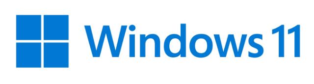 MS 1xWin 11Pro Wrkstns 64Bit DVD OEM(EN)