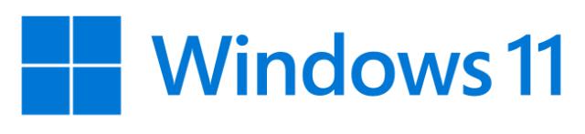 MS Windows 11 Pro FPP 64-bit Eng Intl