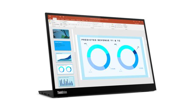 LENOVO PCG Display M14d
