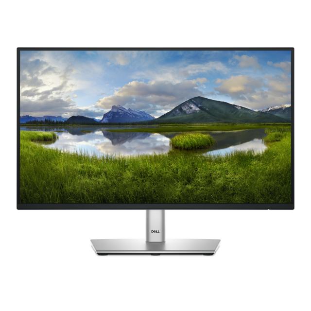 DELL 22 Monitor P2225H 21.5inch