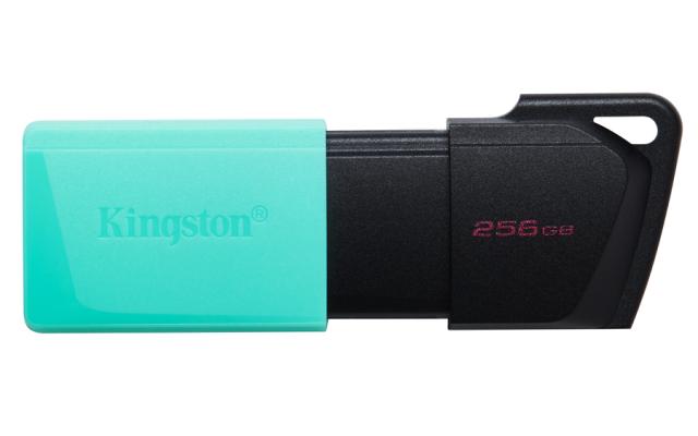 KINGSTON 256GB DataTraveler Exodia M