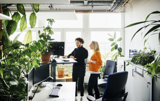 Hvordan forbedre arbeidsdagen med et miljøskifte