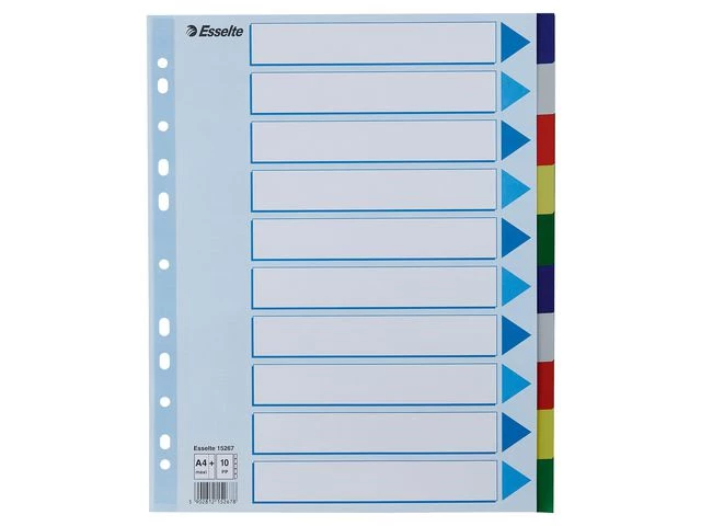 Skilleblad ESSELTE A4+ PP 10-del 5frg