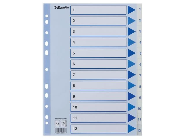 Register ESSELTE A4 plast 1-12 blå/hvit