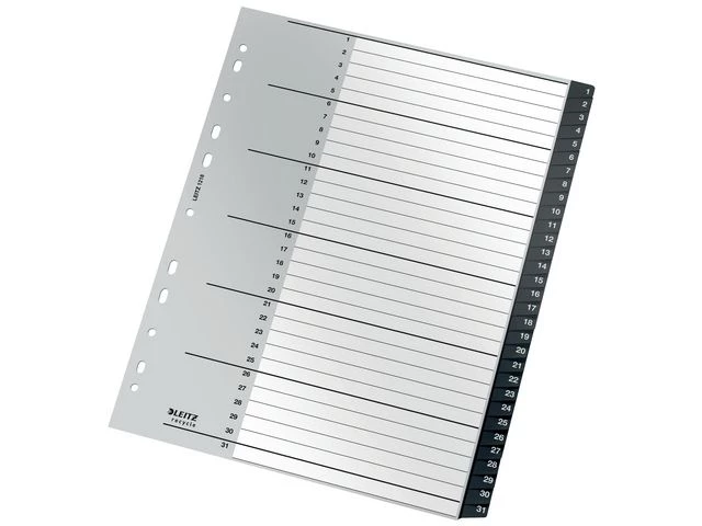 Register LEITZ Recycle 1-31 A4+ PP