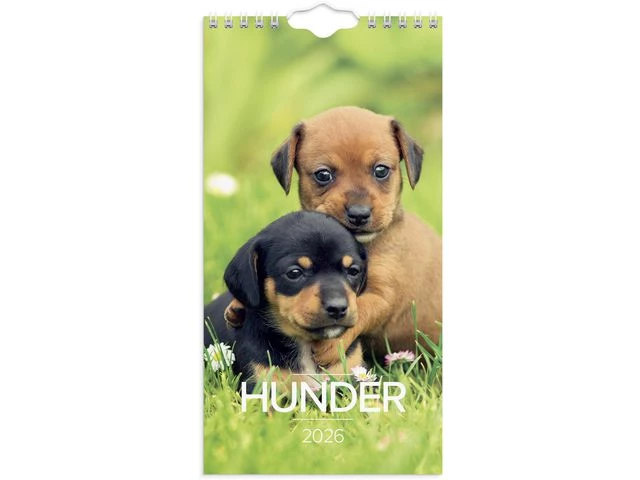 Veggkalender GRIEG 2026 Hunder Mini