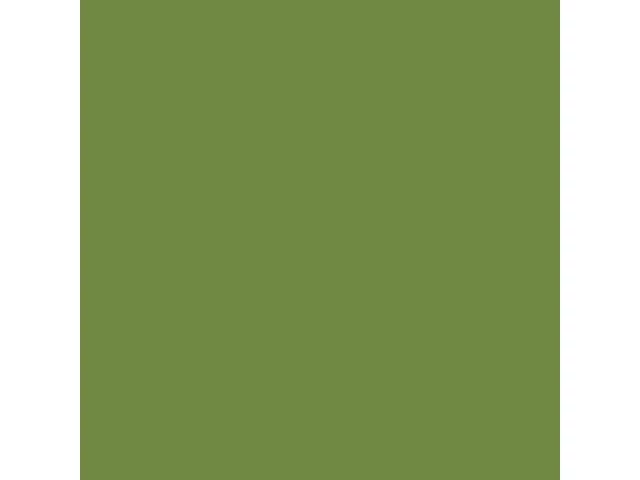 Serviett DUNI 3L 33cm Leaf Green (125)